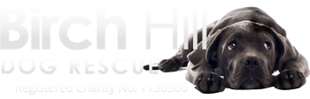  Birch Hill Dog Rescue  logo
