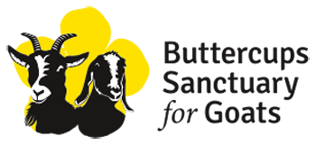  Buttercups Sanctuary for Goats  logo