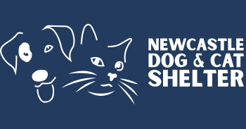 Newcastle Dog & Cat Shelter free will