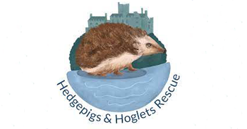  Hedgepigs and Hoglets Rescue  logo