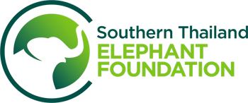  Southern Thailand Elephant Foundation  logo