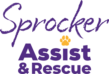 Sprocker Assist and Rescue free will
